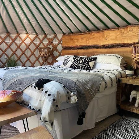 O Dan Y Coed Luxury Yurt With Hot Tub Hotel Chwilog Екстериор снимка