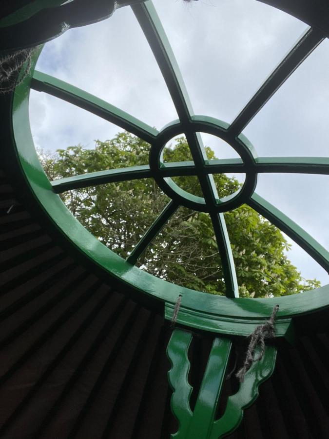O Dan Y Coed Luxury Yurt With Hot Tub Hotel Chwilog Екстериор снимка
